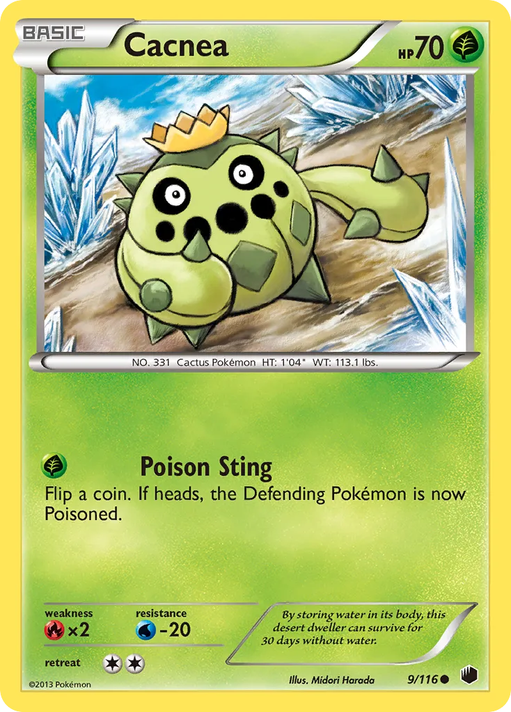 Cacnea