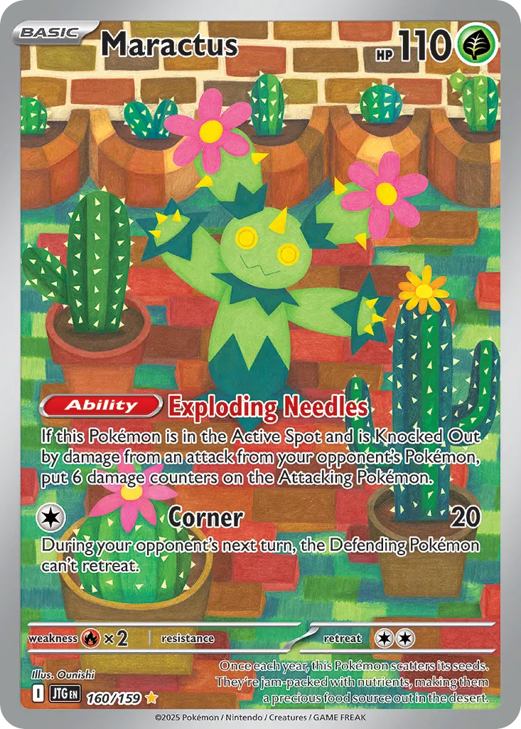 Maractus